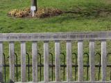 image of grave number 848217